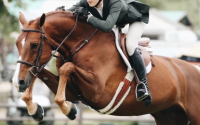 How to Find an Exceptional Horse Trainer, Riding Instructor or Coach