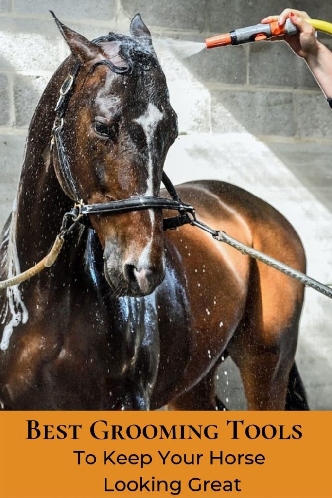 Best Grooming Tools for Horses - Success Under Saddle