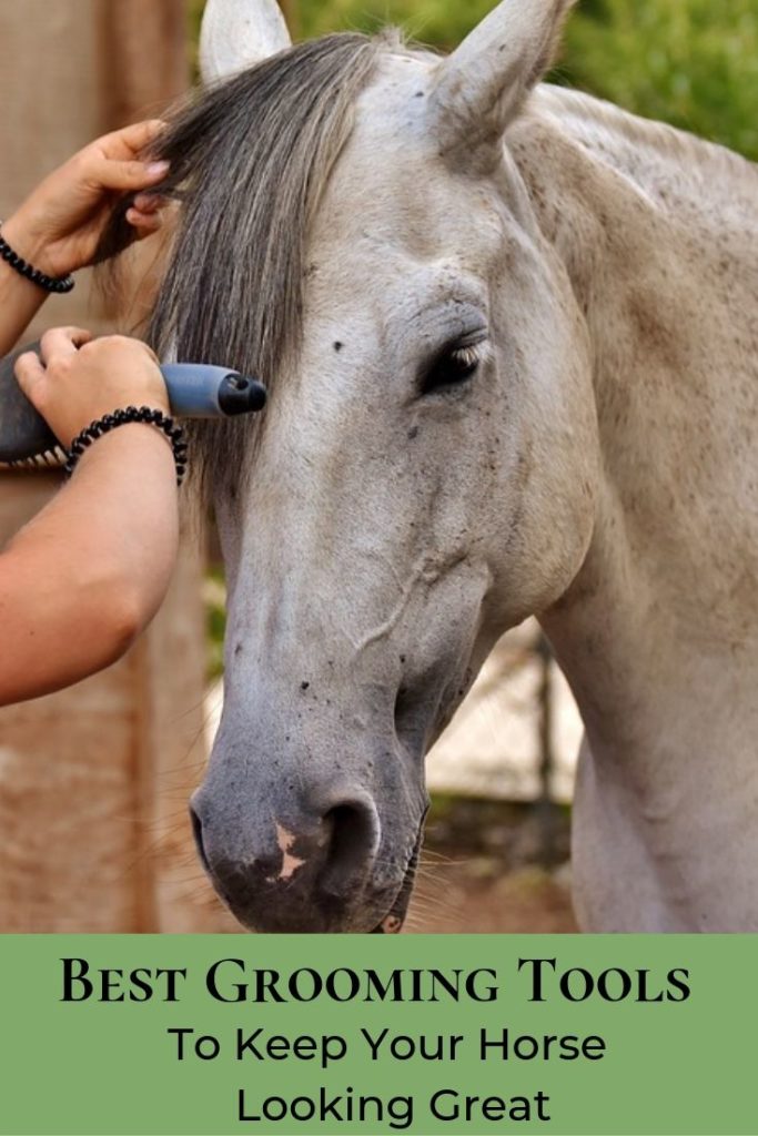 Best Grooming Tools for Horses - Success Under Saddle