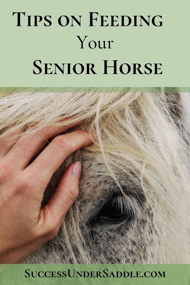 How to Feed the Senior Horse 