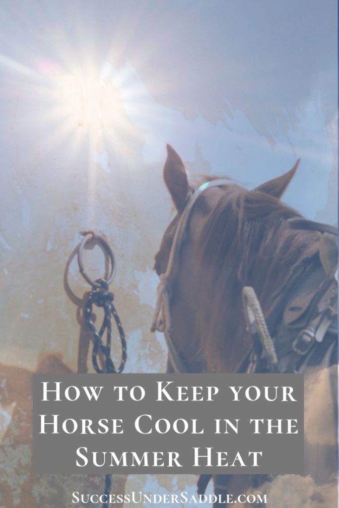 How to Keep Your Horse Cool in the Summer - Success Under Saddle