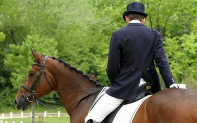 Horse Show Nerves: Overcoming Choke