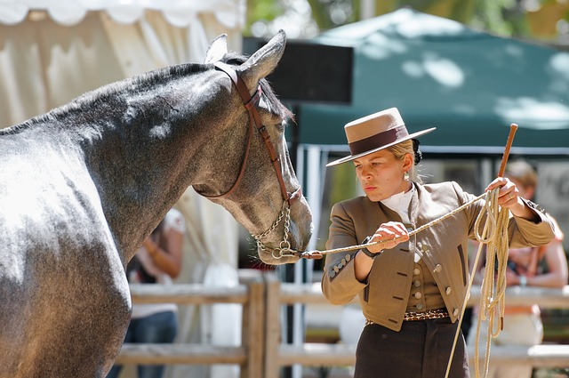 Horses help build mental skills