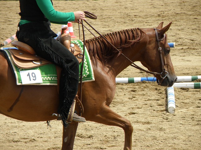 Do you have the skills for horse owership