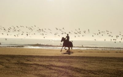 How to Overcome Fear in Horseback Riding