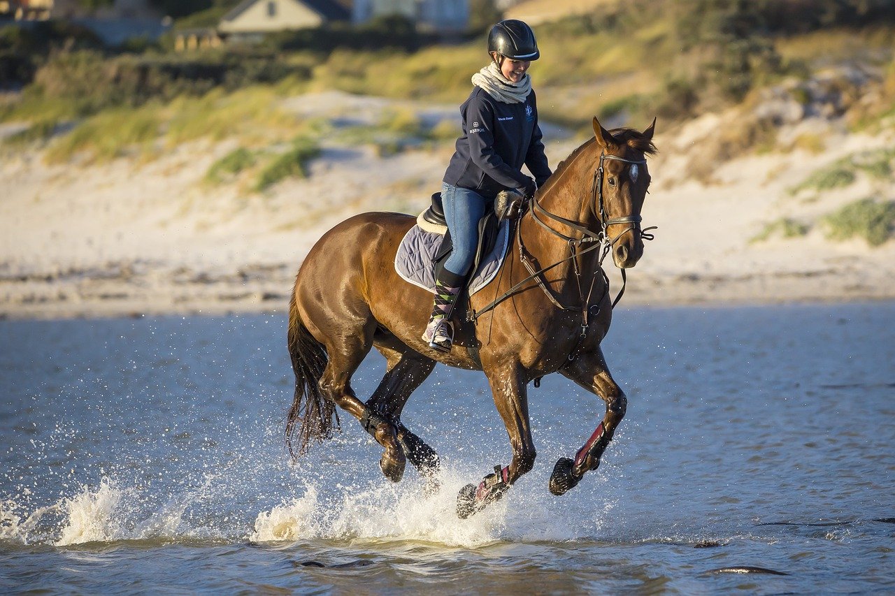 time-really-does-fly-when-you-re-having-fun-success-under-saddle