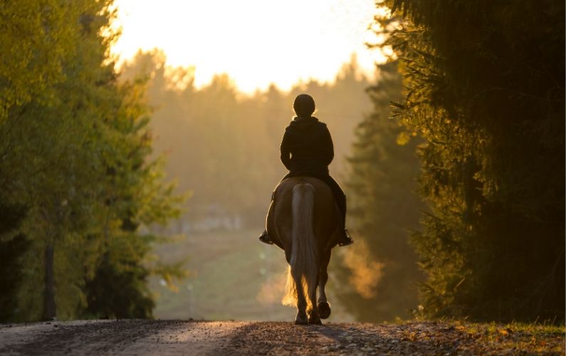 14 Free Equestrian Videos When You Are Home Bound