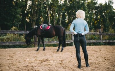 7 Secrets to Horseback Riding with Confidence