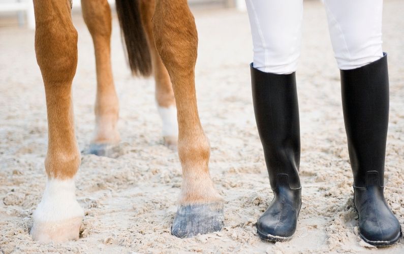Building Connection with Your Horse by Matching Steps