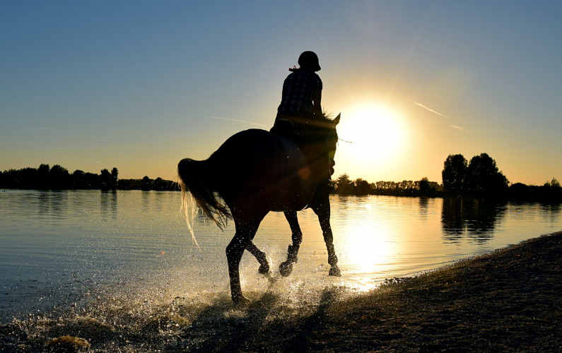 Horseback Riding at Sunrise